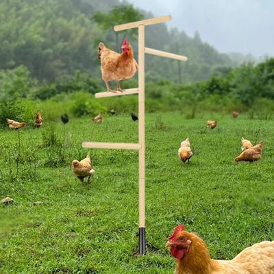 Chicken Roosting Perch Wooden Chick Stand Bird Training Easy Assembly for Coop