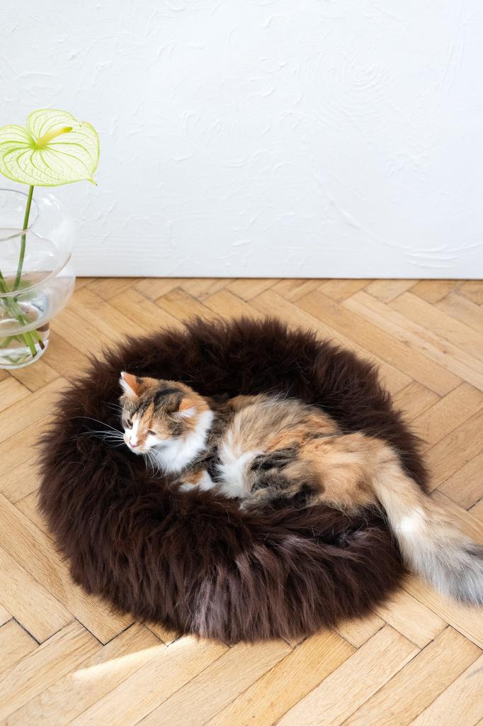 Round Natural Sheepskin Pet Bed - Brown 40 Cm