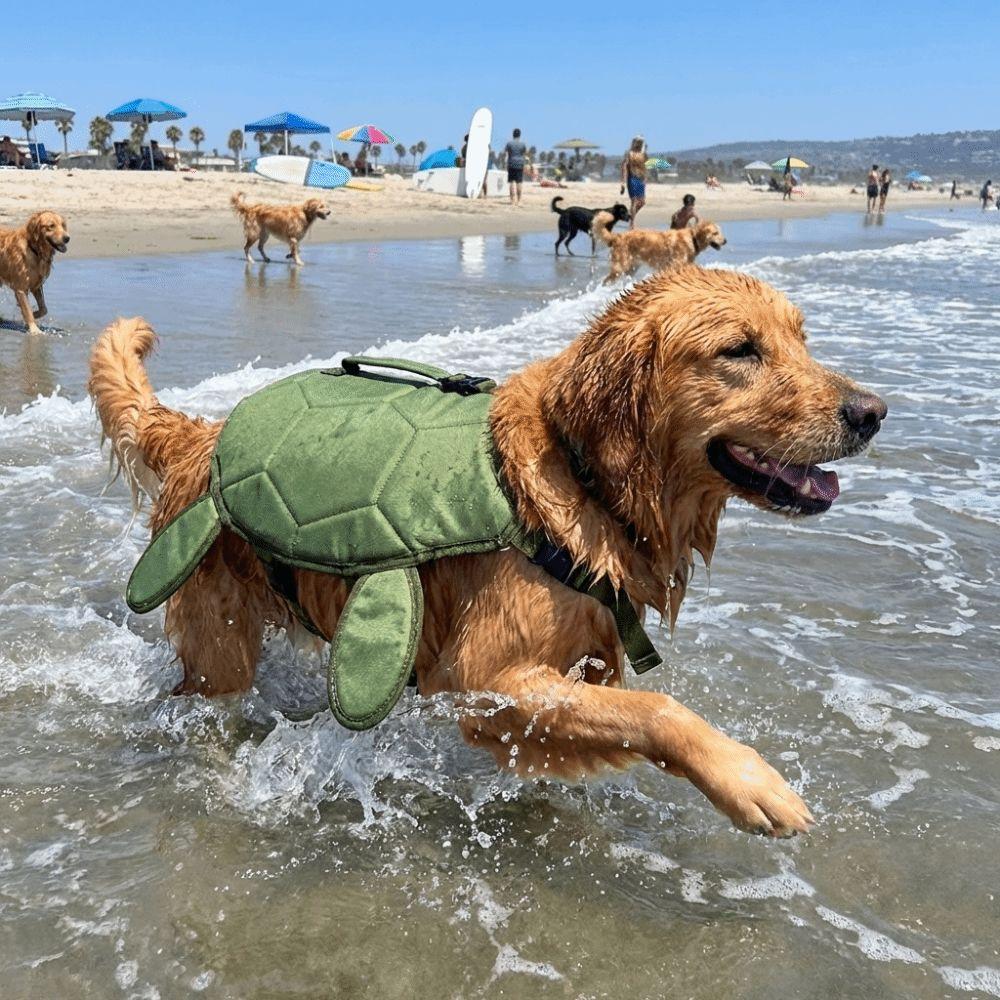Costume da Bagno per Cani a Forma di Tartaruga Maniglia Portatile Abbigliamento da Surf per Cani Attività Acquatiche