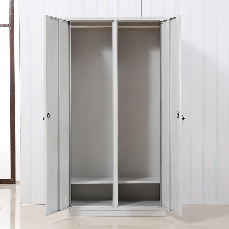Zhenyi Double-Door Storage Cabinet
