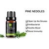 MAYJAM 10ml/30ml/100ml Pine Needles Essential Oils for Candle Soap Making DIY Perfume Air Fresh Diffuser Relaxation SPA Body Massage Oils