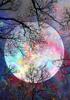 Ob_L_152 Diamond Painting 30X40 - Natura, Ksiezyc