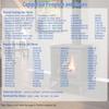 Propane Natural Gas Fireplaces Pilots Assembly Ignitor for Fireplaces Stove 10002264 10002265 4021-736 485-510A 2103-010