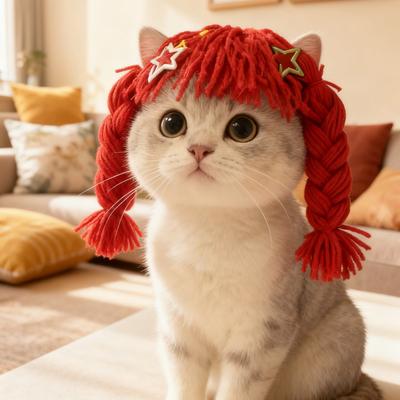 Cat Twist Braid Wig Cute Pet Headgear Dog Headgear Funny Accessories COS Photo Props Handmade