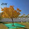 Efficient Yard Waste Removal Landscape Tarp for Trimming, Garden Pruning with Hole & 4 Versatile Lawn Work Helper Corner Buckles, Shrub Trimmings