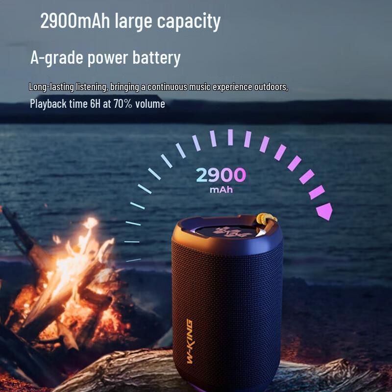 W-King D110 Portable RGB Bluetooth Speaker