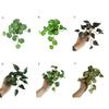 Fake Plant Not Withered Background Decoration Long Lasting Creative Coriander Leaves Simulation Green Home Decor