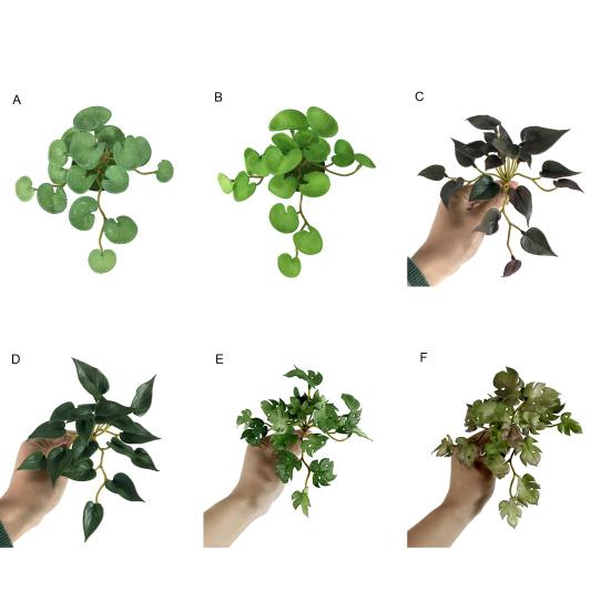 Fake Plant Not Withered Background Decoration Long Lasting Creative Coriander Leaves Simulation Green Home Decor