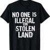 Native Americans No One Is Illegal On Stolen Land T-Shirt3