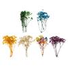 1 Bag Real Dried Flower Starry Sky Flowers Pressed Flower Scrapbooking