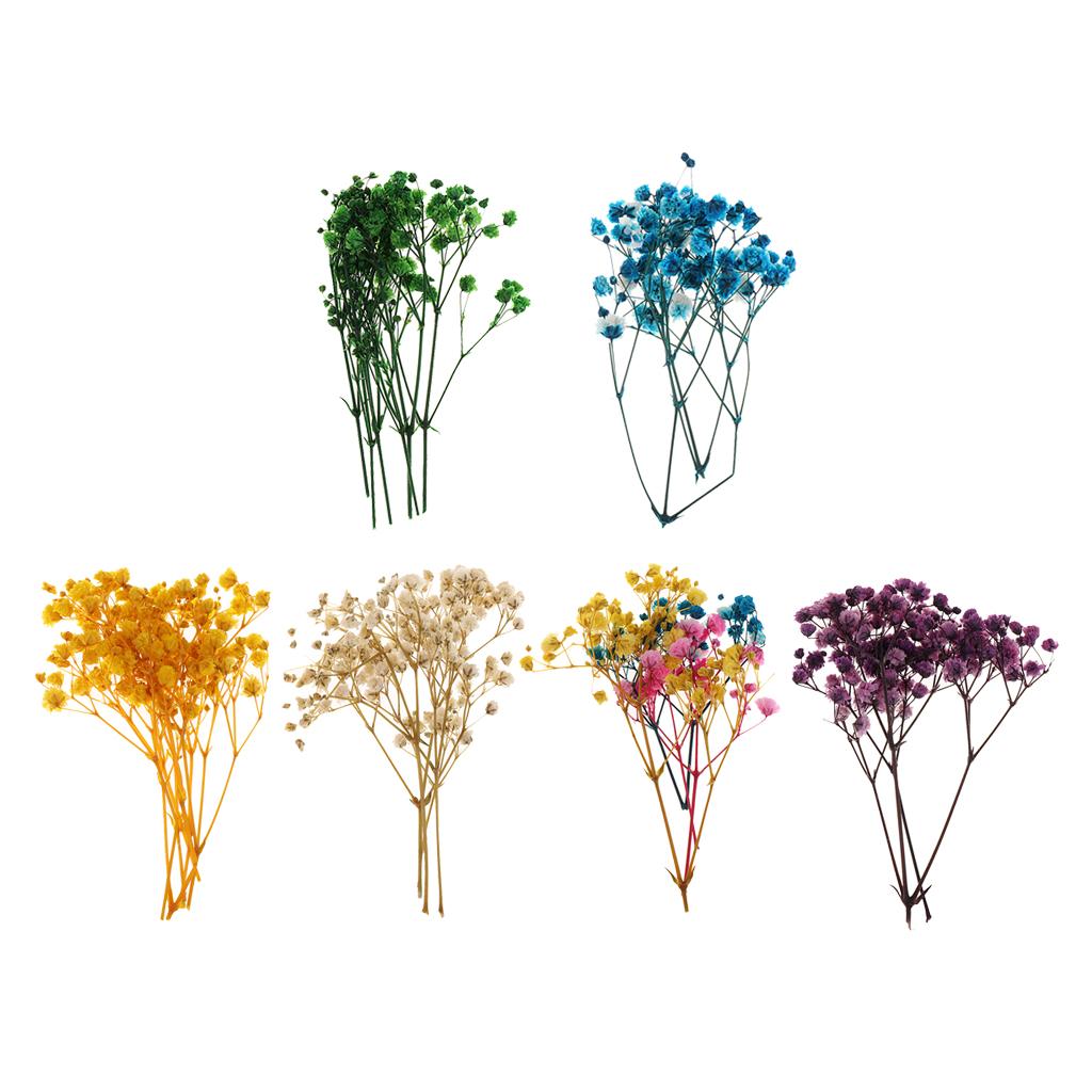 1 Bag Real Dried Flower Starry Sky Flowers Pressed Flower Scrapbooking