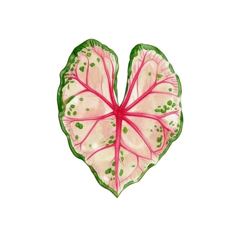 Acrylic Monstera Leaf Coaster Tropical Green Plant Cup Mats Anti-Slip Cup Holders Countertop Protector Kitchen Drink Coasters