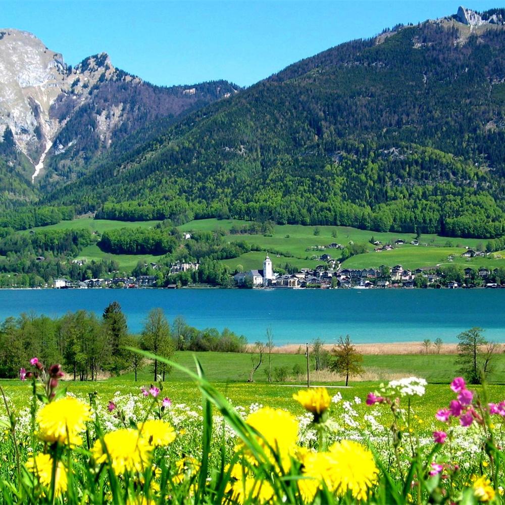 MomoArt Diamond Painting Blumen Vollrunde Bohrer Diamantmosaik Berg 5D DIY Kunst Perlenstickerei Landschaft Heimdekoration