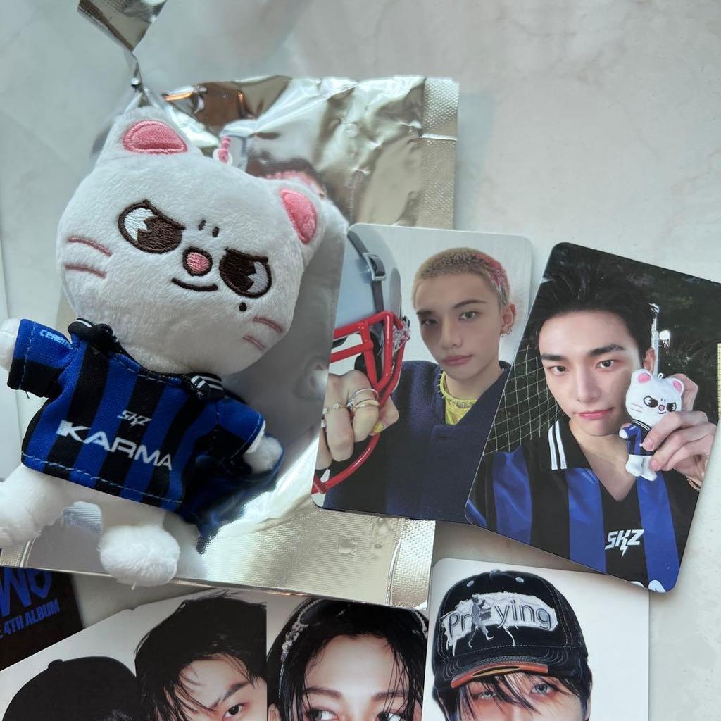 [USED] Stray Kids KARMA Pop-Up SKZOO Comp Hyunjin