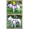 Durable Pet Dog Vest Harness Explosion-proof Big Dogs Harnesses Reflective French Bulldog Collar Shepherd Dogs Walking Supplies