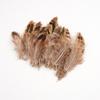 50Pcsdiy Jewelry Accessories Feather Diy Feather Headdress Corsage Hat Shoes Handicrafts Decorative Materials