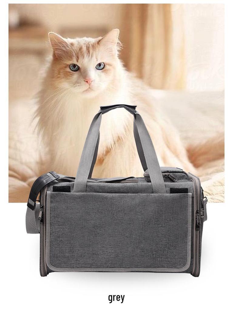 Tragbare Transportbox für Haustiere: Großraum-Faltbox für Hunde und Katzen