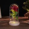 Glass cover simulation rose ornament, creative mother's Valentine's Day gift, immortal flower night light