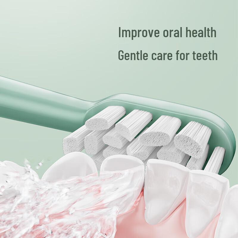 FLYCO PT1701 Smart Sonic Electric Toothbrush