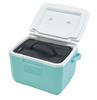 Coleman Cooler Bag S Box Black