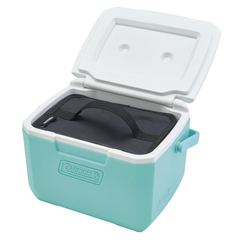 Coleman Cooler Bag S Box Black