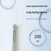 LocknLock Portable Electric Water Flosser CN plug (adapter included)