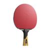 Raquette de tennis de table Lion Premiere