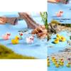 Adorable 5 Colors Mini Colorful Duck Resin Ornaments For Charming Micro Landscapes