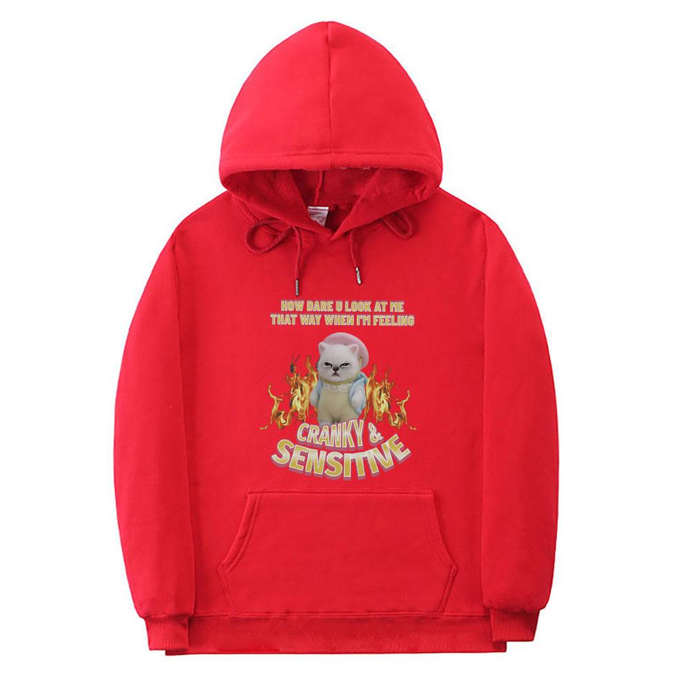 How Dare U Look At Me That Way When I'm Feeling Cranky Sensitive Kawaii Cat Funny Meme Hoodie Unisex Casual Cotton Pullover