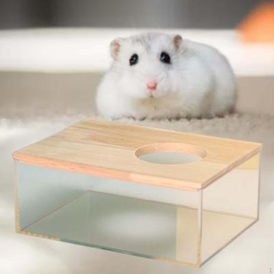 Caja de Baño de Arena Acrílica para Hámsters y Mascotas Pequeñas