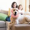Pet Anti-noise Earmuffs Are High Elastic, Soft, Warm, Cold-proof and Antifreeze Pet Ear Covers Pet Earmuffs Dog Products