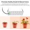 Full Spectrum Growth Light LED Indoor Plant Supplement Light 3000K 5000K IR UV Grow Light for Green