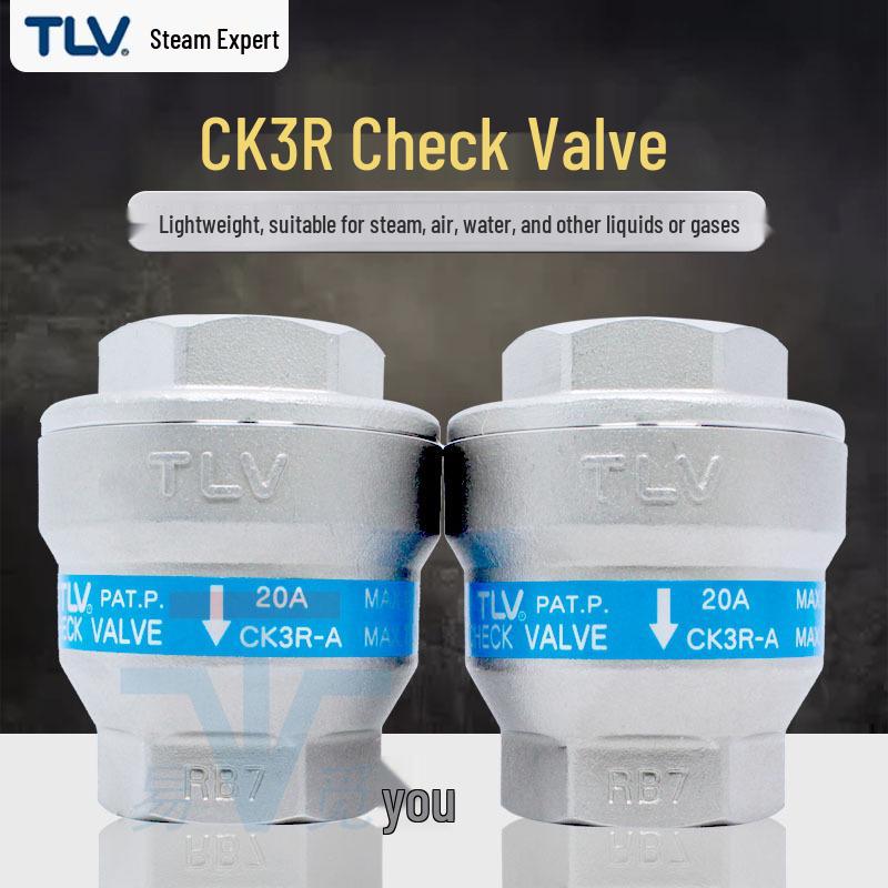 Japan TLV CK3R Brass Disc Check Valve, Low Pressure Drop, Threaded Connection