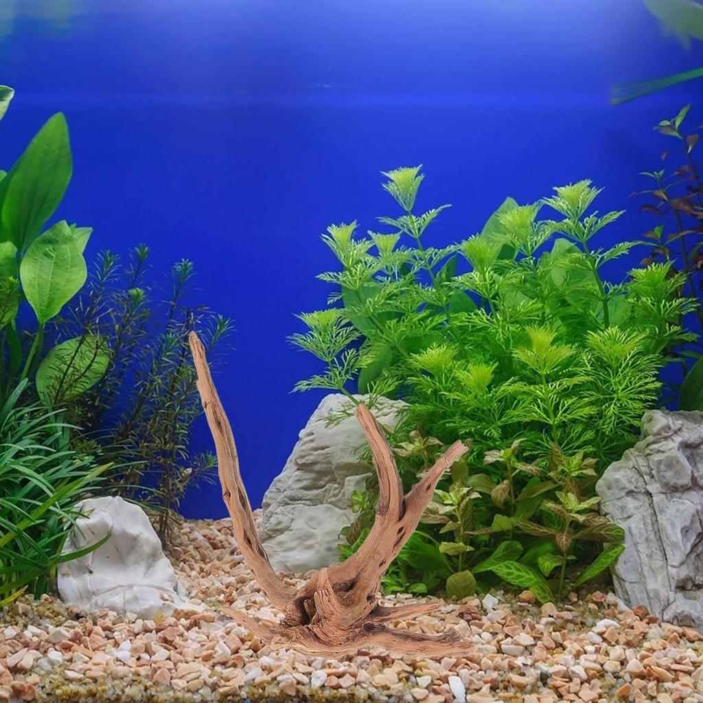 Mipcase 3 Stück Treibholz für Aquarium, Spinnenholz für Aquarium Aquarium Dekorationen Fischbecken Dekorationen Treibholz für Reptilienbecken Dekor