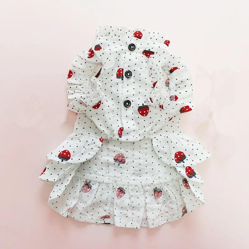 

Pet Dress Summer Dog Clothes Cat Clothing Skirt Yorkie Yorkshire Poodle Bichon Pomeranian Schnauzer Pet Costume Dog Apparel XXL білий