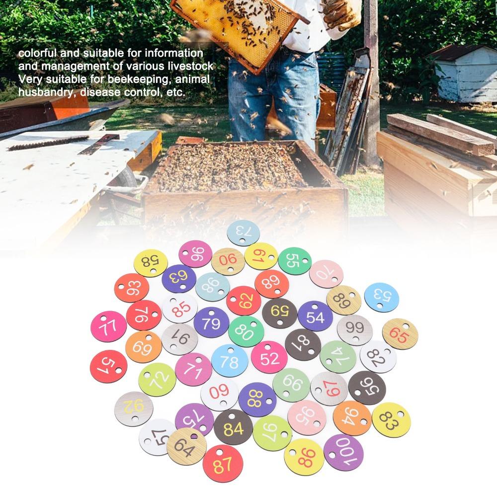 50Pcs Bright Colorful Round Number Labels ABS Number Labels Plastic Number Labels Beekeeping