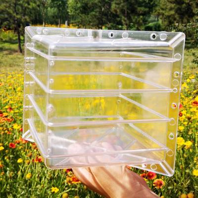 Square Heart Watermelon Mold Garden Fruit Growth Forming Shaping Mould Tool