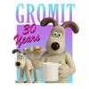 Wallace and Gromit Unisex Adult Gradient Birthday T-Shirt