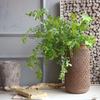 Artificial Plant Locust Tree Leaf Branch 100cm/39.3in Fresh Pastoral Style Home Decoration Living Room Table Decoration