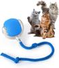 Auto-Run Smart Pet Ball – Self-Playing Dog Toy, Tough Chew Toy for Aggressive Chewers, Motion-Activated Bouncing Toy for Cats and Small Dogs
