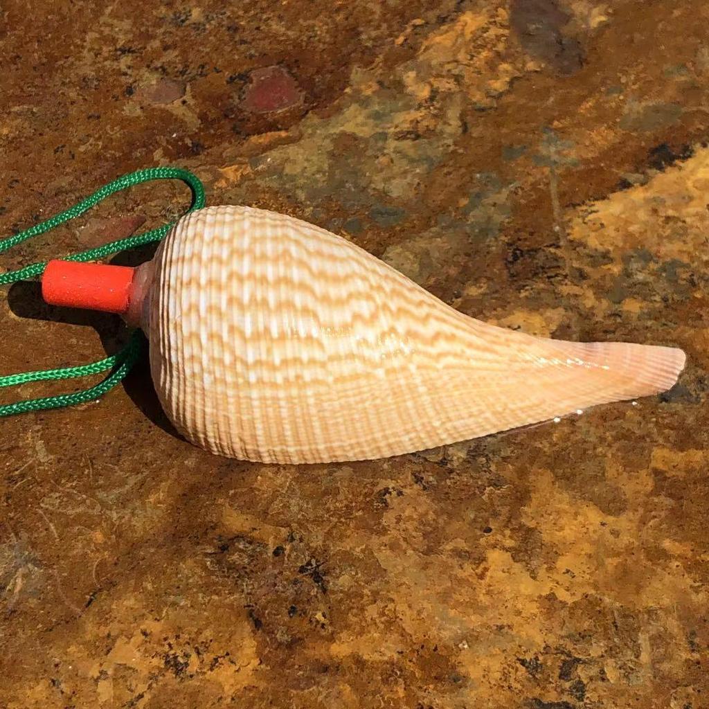 Street Stall Conch Shell Whistles & Toys: Creative Souvenirs