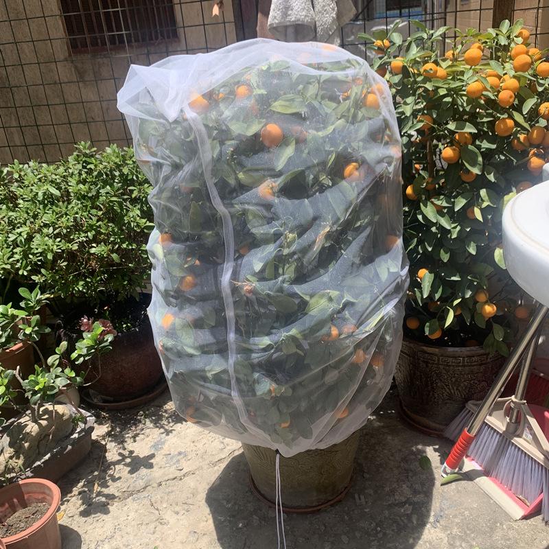 Drawstring Insect Protection Net Bag for Trees, Flowers & Fruit - Bird & Insect Barrier Cover