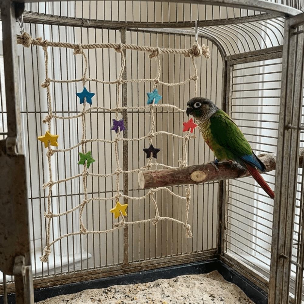 Hanging Parrot Climbing Net Colorful Star Bird Stand Net Creative Bird Swing Rope Indoor
