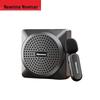 Newsmy Portable Voice Amplifier with Bluetooth Speaker U-238 (CN Version)