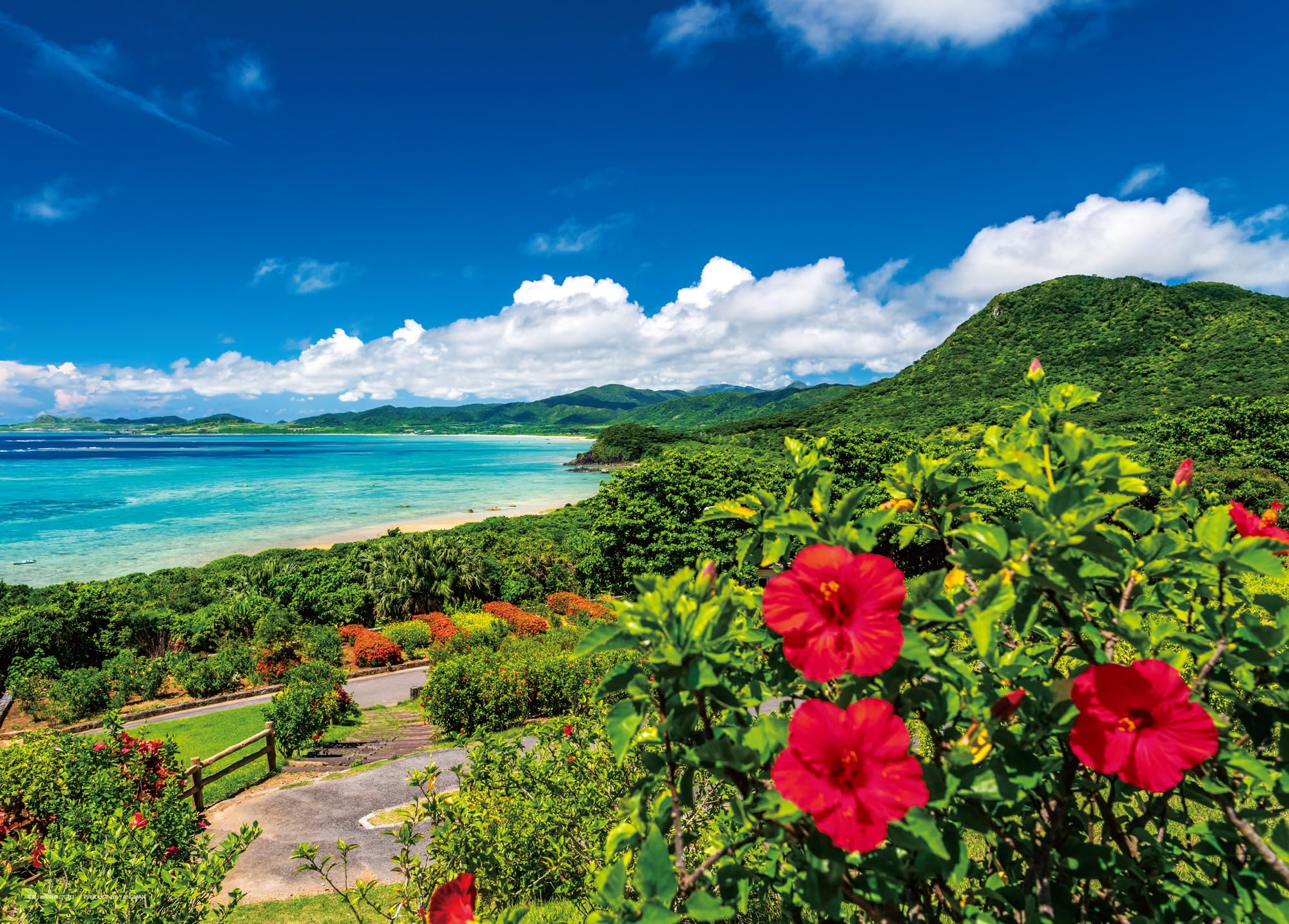 

Yanoman in Jigsaw Sea and Summer Ishigaki Island Includes Piece Request Service and Jigsaw Puzzle Instructions (Yanoman) [Made Japan] 500-Piece