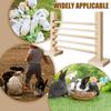 Kaninchen Sprungstange Holz Hase Agility-Ausrüstung Verstellbare Höhe Tier Sprungzaun Trainingsspielzeug Für Gehege Frettchen Chinchilla