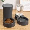 Large Capacity Cat Dog Water Dispenser Feeder Set 800mL Pet Integrated Food Bowl