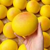 1Pc Realistic Mochi Stress Relief Sensory Decompression Toys Sticky Slow Rising Soft Squeeze Toy For Kids Adults Gifts