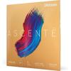 D'Addario Daddario Violin String Ascente Set A310 1/4M Medium Tension [Domestic Genuine]