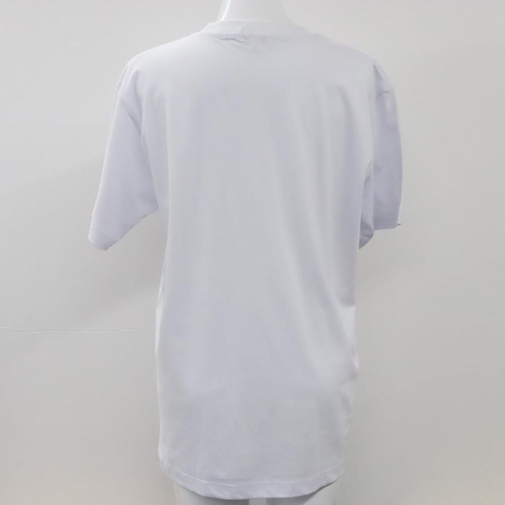 Japanese Souvenir Illustration 2L White Shin-ei [T-shirt TOKYO]